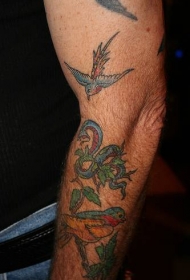 手臂彩色鸟和蛇oldschool纹身