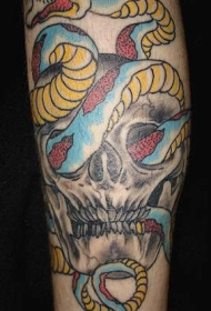 手臂彩色骷髅蛇纹身图片