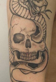 手臂黑白蛇和骷髅纹身图案