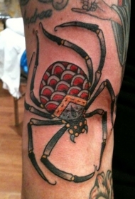 手臂彩色蜘蛛纹身图案