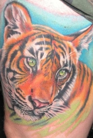 彩色写实老虎纹身图片