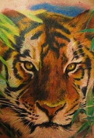 彩色老虎写实纹身图案