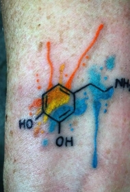 水彩风格的彩色化学配方纹身