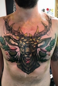 男性时尚纹身彩色霸气的新传统纹身动物图案纹身