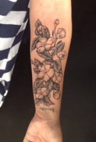 手前臂黑色植物藤素描纹身小花朵图片