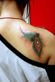 女性背部孔雀羽毛纹身图片