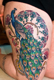 女性大腿精美时尚好看的孔雀花卉彩色纹身图片