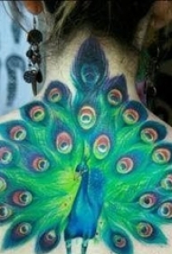 彩色的鸟纹身满背孔雀纹身火凤凰纹身动物图案纹身