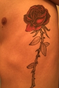 男子侧肋上一束漂亮的玫瑰花纹身图片