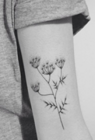 女生喜爱的黑色小清新植物纹身