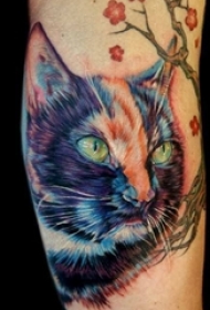 彩色的各种风格猫纹身动物图案纹身