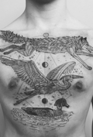 男生胸部简约线条纹身狼纹身仙鹤纹身和鸭子纹身图片