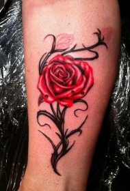 小腿上性感妖艳的玫瑰纹身图案