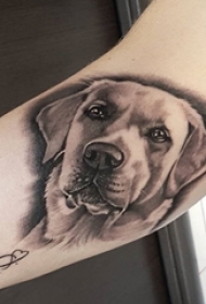 9款可爱的拉布拉多犬宠物狗纹身小动物纹身图案