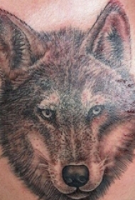 帅气的黑灰色写实风格狼头纹身图片