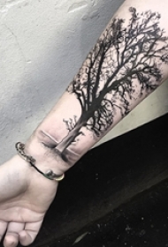 各种帅气的树图案纹身图片欣赏