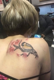 女孩背上的站点花枝上的鸟纹身图片