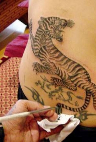 美国影星安吉莉娜背后老虎纹身图案