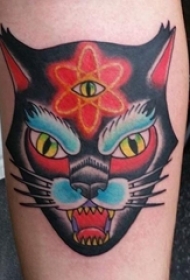 手臂上传统彩色纹身动物三眼纹身猫脸纹身图片
