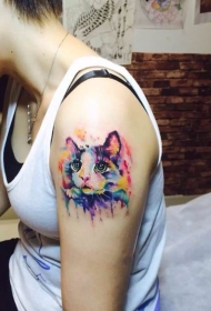 女生手臂可爱的彩绘小猫纹身图案