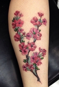 女生中国风梅花纹身小花朵植物颜料纹身图案