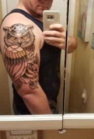 男生手臂上黑色线条经典霸气猫头鹰动物纹身图片