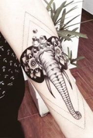 女生手臂上黑灰素描创意几何元素唯美花纹大象纹身图片