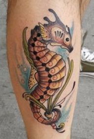 海马纹身图案 男生小腿上彩色的海马纹身图片