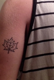 男生手臂上黑色简单线条植物素材枫叶纹身图片