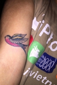 小鸟纹身 男生手臂上可爱小鸟纹身图片