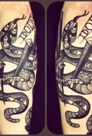男生手臂上黑灰素描点刺技巧创意霸气蛇纹身图片