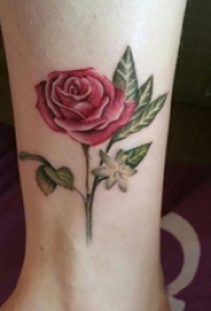 女生脚踝上彩绘渐变简单线条唯美玫瑰纹身图片
