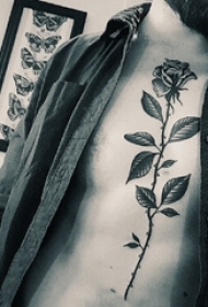 男生胸部黑灰点刺技巧植物素材玫瑰纹身图片