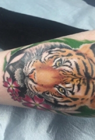 女生小腿上彩绘水彩素描霸气经典老虎动物纹身图片