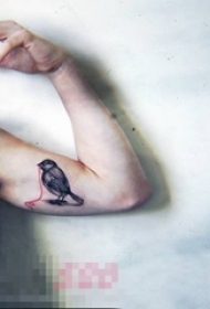 男生手臂上黑色线条素描小动物小鸟纹身图片
