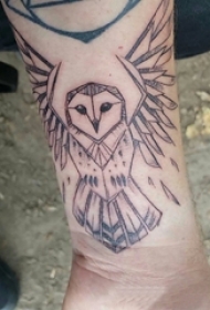 猫头鹰纹身图案 男生手臂上猫头鹰纹身图案