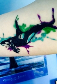 纹身鲸鱼 女生大臂上彩色的鲸鱼纹身图片