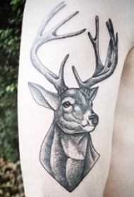 男生手臂上黑色点刺简单线条可爱小动物鹿纹身图片