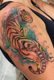 男生手臂上彩绘渐变简单线条小动物老虎纹身图片