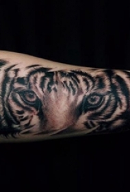 男生手臂上黑灰点刺技巧动物老虎纹身图片