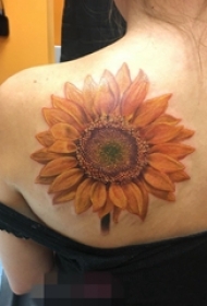 女生肩部彩绘技巧简约线条小清新植物向日葵纹身图片