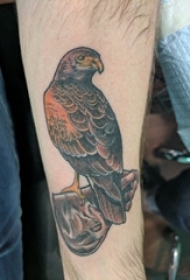 男生手臂上彩绘水彩素描可爱小鸟动物纹身图片