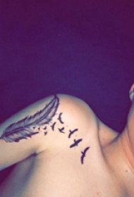 羽毛纹身图案 男生手臂上羽毛纹身图案