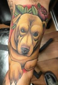 小狗纹身图片 男生手臂上彩色小狗纹身图片