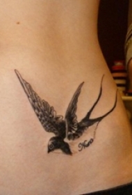 女生腹部黑色素描创意小鸟纹身图片