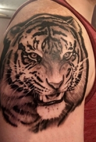 男生手臂上黑色的线条小动物老虎纹身图片
