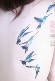 女生背部彩绘水彩创意小鸟纹身图片