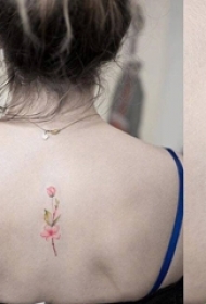 女生背部彩绘素描文艺小清新花朵纹身图片
