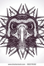 黑灰素描创意文艺有趣动物猫头鹰纹身手稿