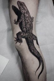 男生腿上黑灰素描点刺技巧创意霸气3d恐怖壁虎纹身图片